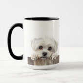 Maltese Mok van Dog (Links)