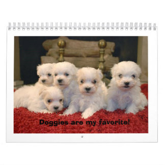 Maltese Puppies Kalender