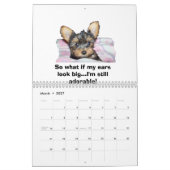 Maltese Puppies Kalender (Mar 2027)