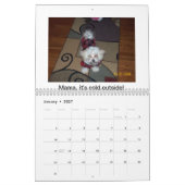 Maltese Puppies Kalender (Jan 2027)