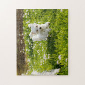 Maltese puppy actief legpuzzel (Verticaal)