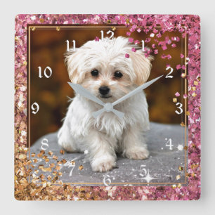 Maltese puppy, Cute en Cudst, Vierkante Klok