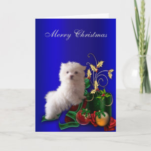 Maltese Puppy Dog Christmas Feestdagen Kaart