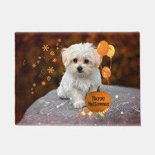 Maltese puppy, Halloween Celebration, Deurmat