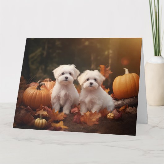 Maltese puppy herfst verrukking pompoen kaart (Voorkant)