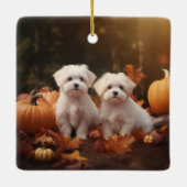 Maltese puppy herfst verrukking pompoen keramisch ornament (Achterkant)