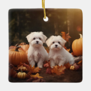 Maltese puppy herfst verrukking pompoen keramisch ornament