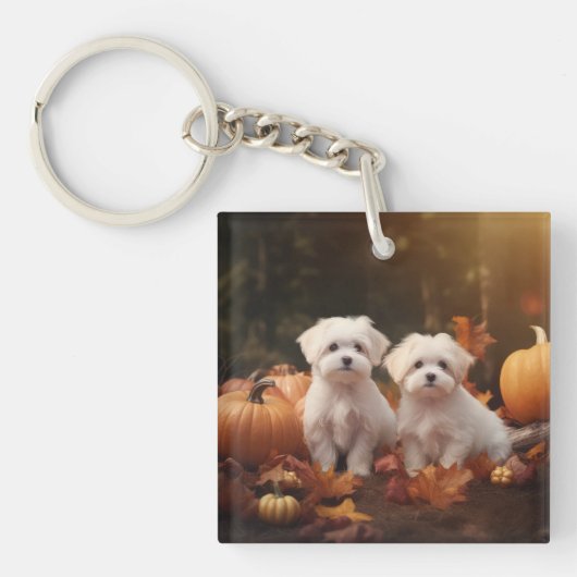 Maltese puppy herfst verrukking pompoen sleutelhanger (Voorkant)