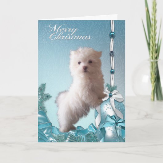Maltese puppy hond Kerstmis Feestdagen Kaart (Voorkant)