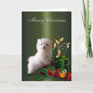 Maltese puppy hond Kerstmis Feestdagen Kaart