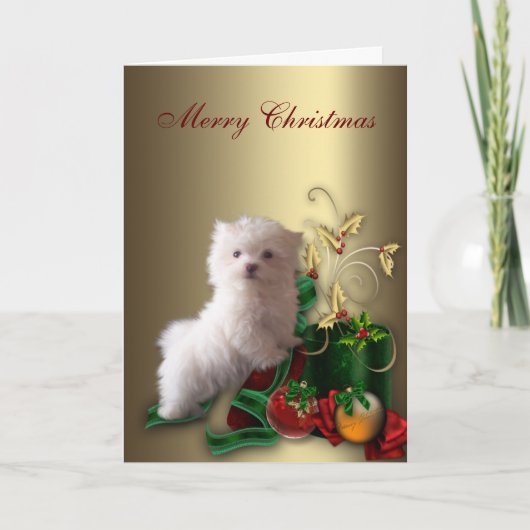Maltese puppy hond Kerstmis Feestdagen Kaart (Voorkant)