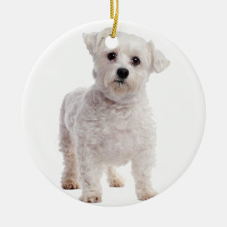 Maltese puppy keramisch ornament
