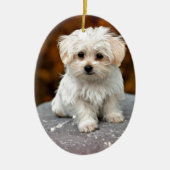 Maltese puppy keramisch ornament (Voorkant)
