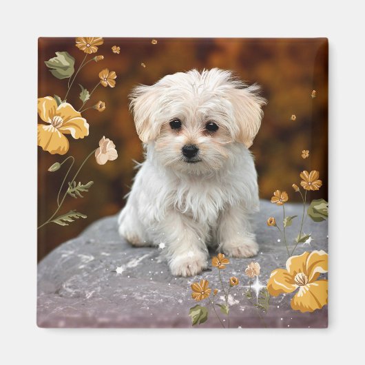 Maltese puppy, oh zo schattig, magneet (Voorkant)