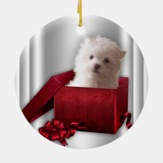 Maltese puppy rood Ornament (Achterkant)