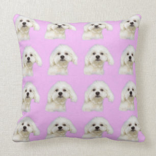 Maltese puppy roze kussen