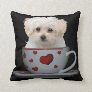 Maltese puppy Sitting in een Cup en Saucer Kussen