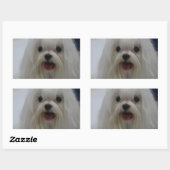 Maltese puppy Stickers (Vel)