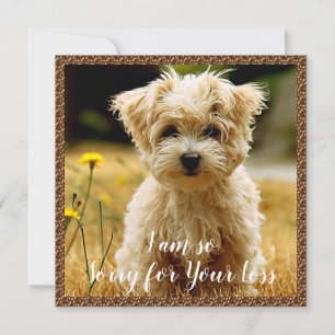 Maltese Puppy Sympathy Card Bedankkaart
