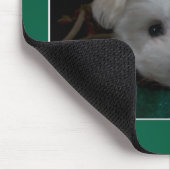 Maltese puppyogen Muismat (Hoek)