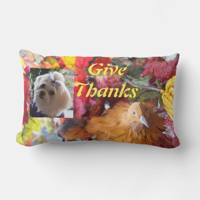 Maltese Seizoenen leren design Kussen (Voorkant)