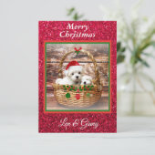 Maltese Sjabloon voor kerstPuppies (Staand voorkant)