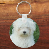 Maltese Sleutelhanger Puppies (Voorkant)