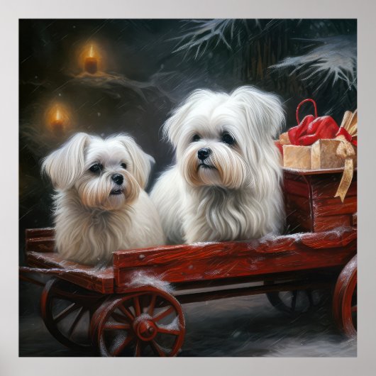 Maltese Sneeuwslee Kerst Decor Poster (Voorkant)