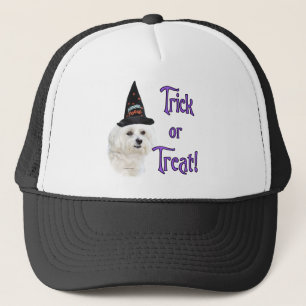 Maltese truc trucker pet