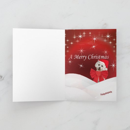 Maltezer en puppy wensen u prettige kerstdagen feestdagen kaart (Binnen)