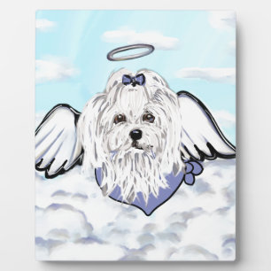 Maltezer Engel Fotoplaat