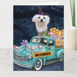 Maltezer hond Halloween vrachtwagen griezelige nac Kaart