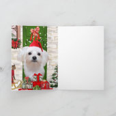 Maltezer Hond Kerstmis Kaart (Binnen)