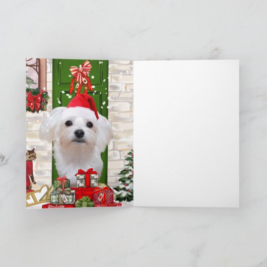 Maltezer Hond Kerstmis Kaart (Binnen)