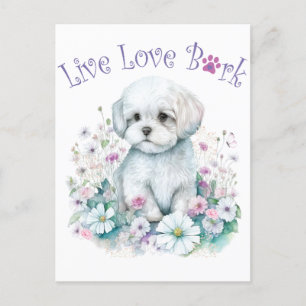 Maltezer Hond Moeder Bloemstuk Briefkaart
