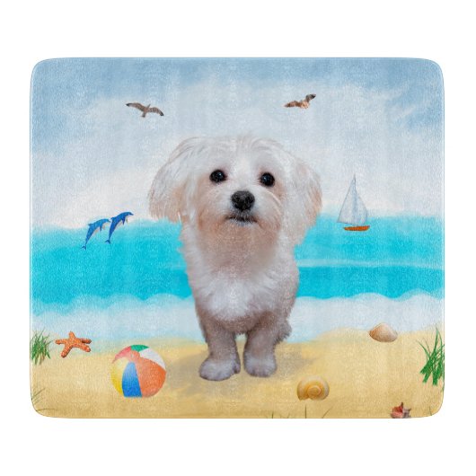Maltezer hond op het strand snijplank (Voorkant)