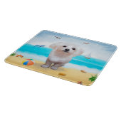 Maltezer hond op het strand snijplank (Hoek)