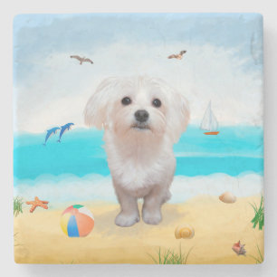 Maltezer hond op het strand stenen onderzetter