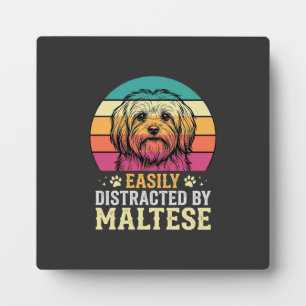 Maltezer Hond Retro Zonsondergang Afleid Fotoplaat