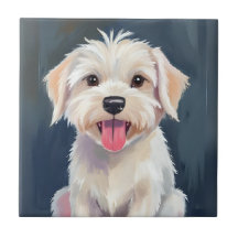 Maltezer Pup | Schilderij van witte hond