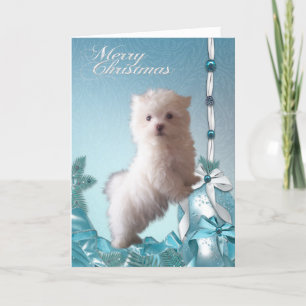Maltezer Puppy Honden Kerstmis Feestdagen Kaart