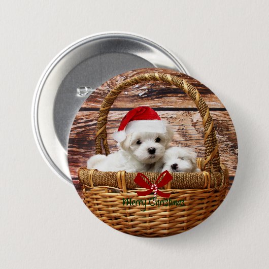 Maltezer puppy's in een kerstmand ronde button 7,6 cm (Voorkant /achterkant)