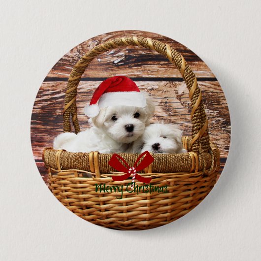 Maltezer puppy's in een kerstmand ronde button 7,6 cm (Voorkant)