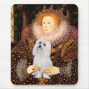 Maltezer (SD) - Koningin Muismat