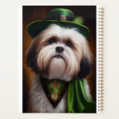 Malti Tzu Chien en Robe de la Saint Patrick (Dos)
