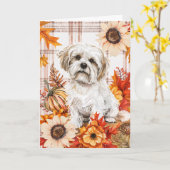 Malti Tzu Dog Herfst Thanksgiving Kaart (Gele Bloem)