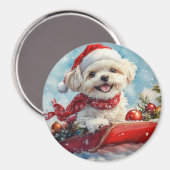 Malti Tzu Hond in Sledge Laat het Sneeuw Kerstmis Magneet (Voorkant / Achterkant)