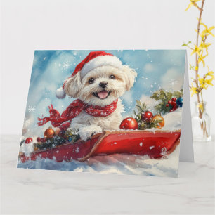 Malti Tzu Hond in slee Let it Snow Kerstmis Kaart
