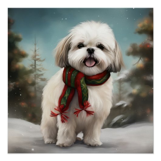 Malti Tzu Hond in Sneeuw Kerstmis Perfect Poster (Voorkant)