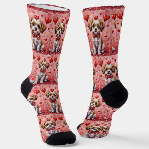 Malti Tzu Valentijnsdag Hond Zit met Hartjes Rood Sokken